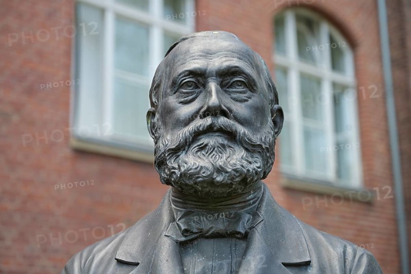 Bust