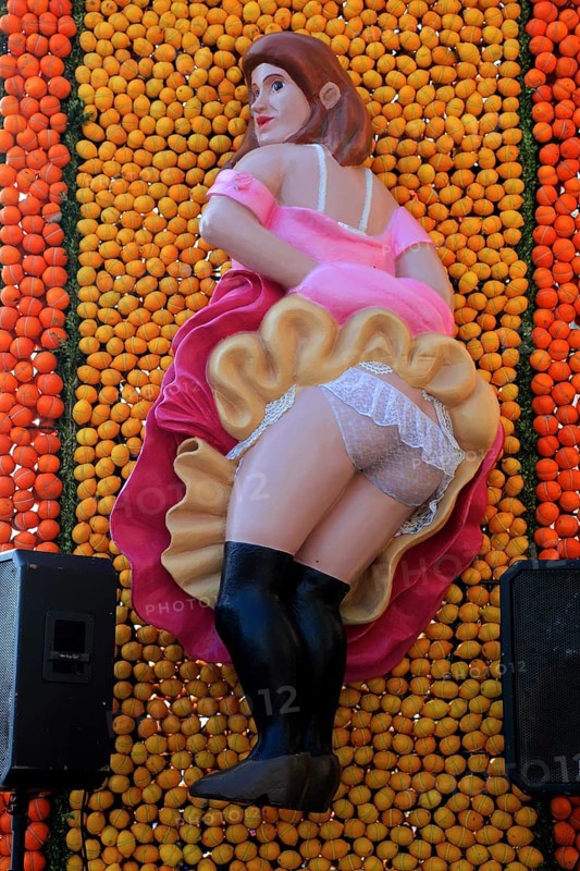 Sculptures made of citrus fruits