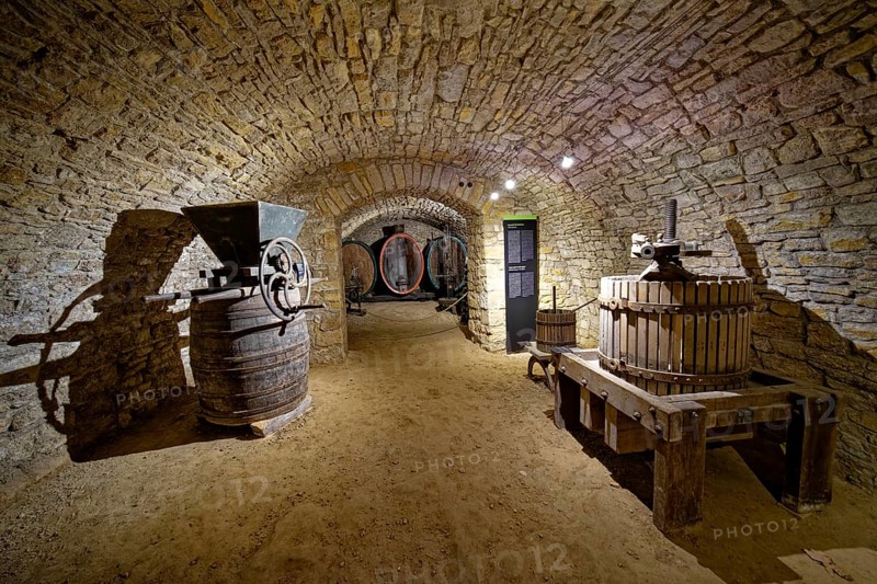 Wine museum