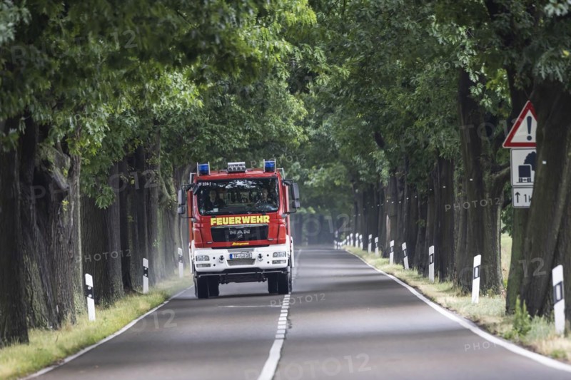 Avenue of trees with fire engine