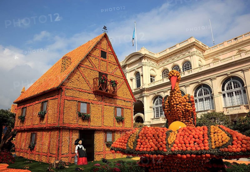 Half-timbered house and stork's nest with stork
