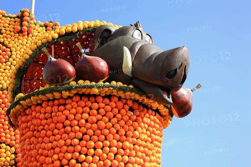 Sculptures made of citrus fruits