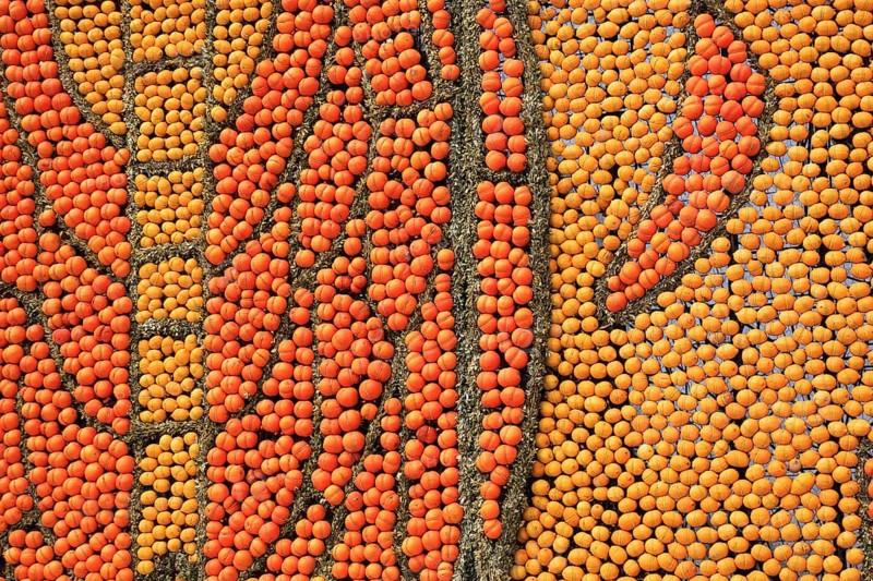 Oranges