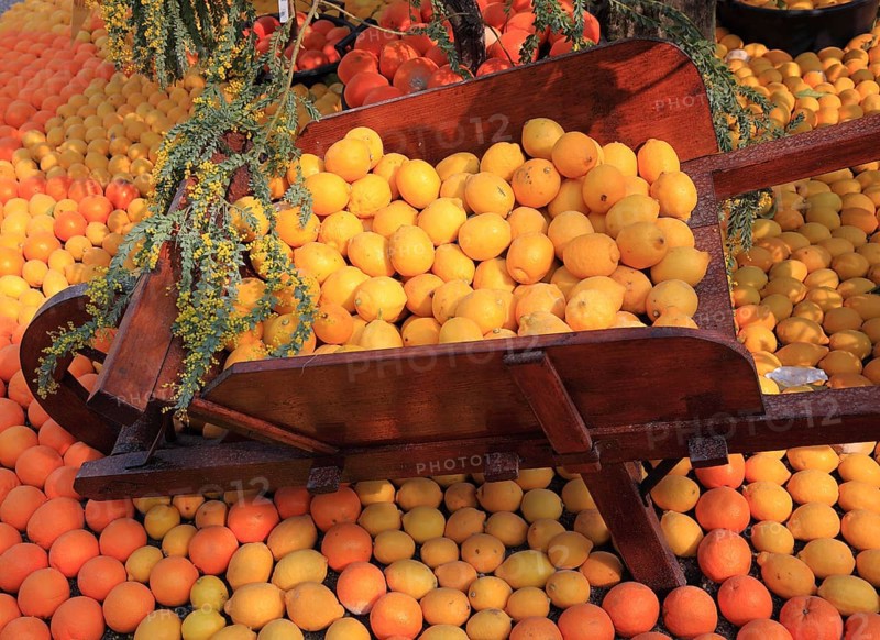Wheelbarrow filled with oranges and lemons