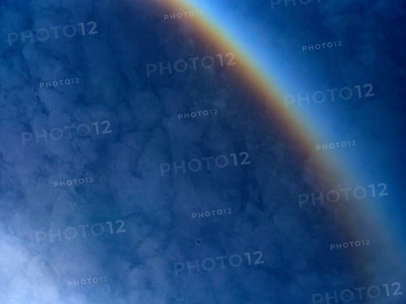 Detail of a sun halo with clouds in the sky and a flying crane