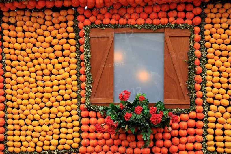 Replica of a half-timbered house with lemons and oranges