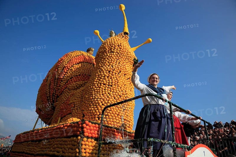 Sculptures made of citrus fruits