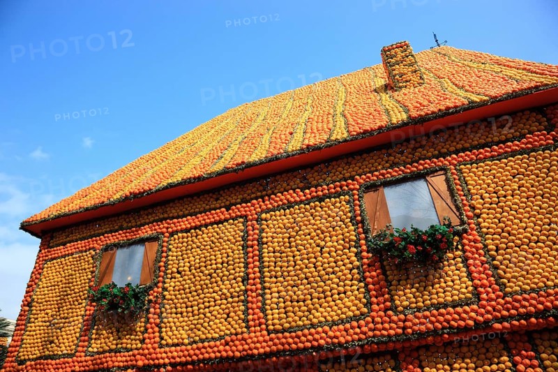 Half-timbered house motifs of citrus fruits
