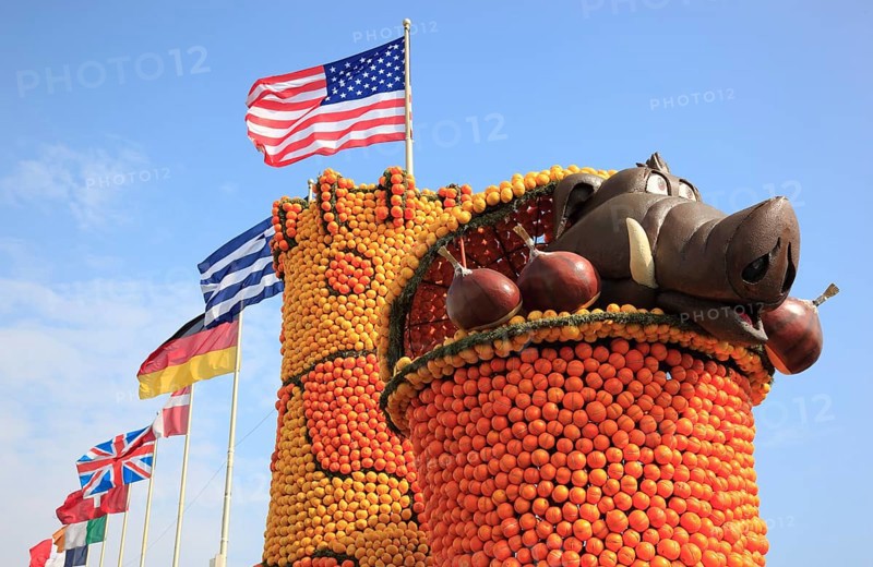 Sculptures made of citrus fruits