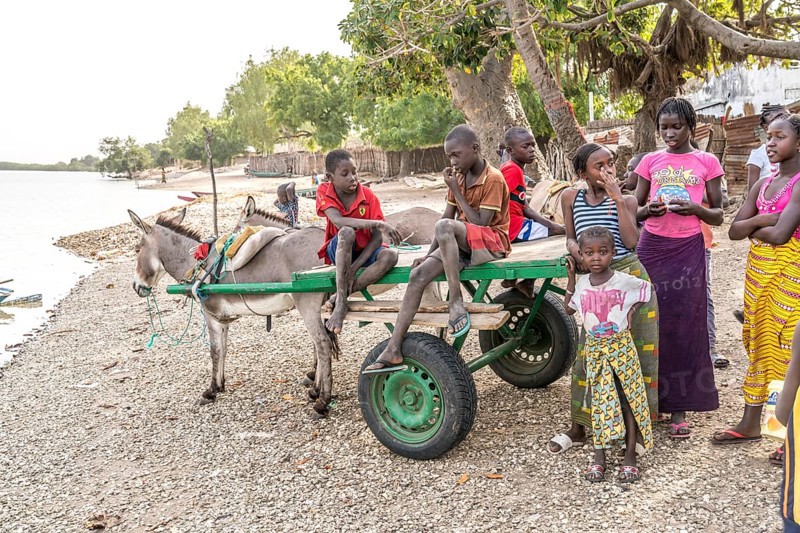 Children with donkey carts on the riverbank