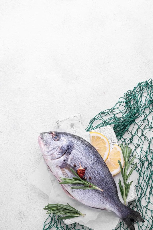 Fresh sea bream fish green fish net