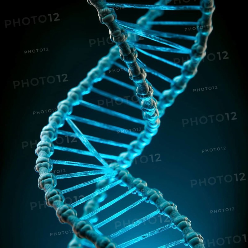 Symbolic image DNA double helix
