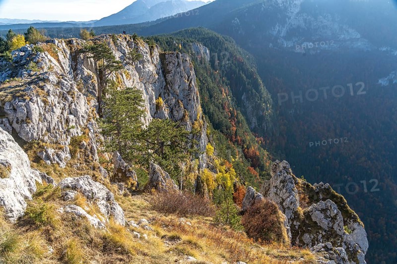 View from the lookout peak Curevac into the Tara Gorge