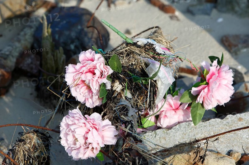 Marine litter washed up on the beach