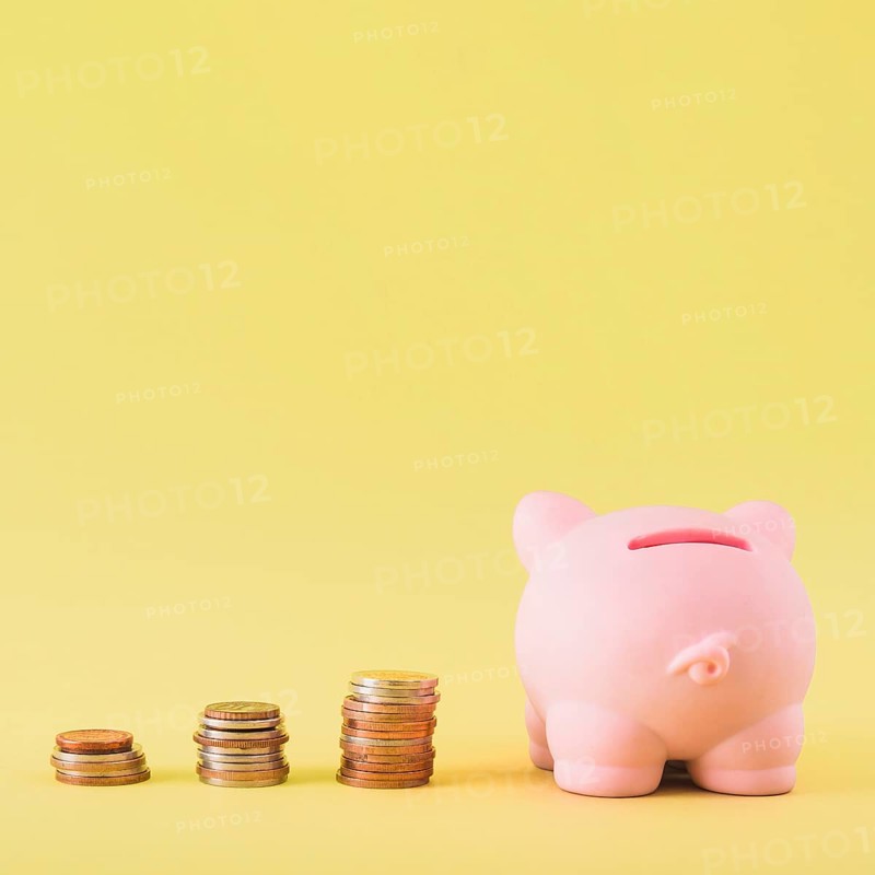 Piggy bank with stacks coins