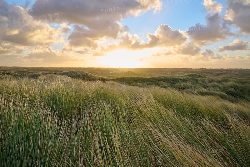 Sand dune