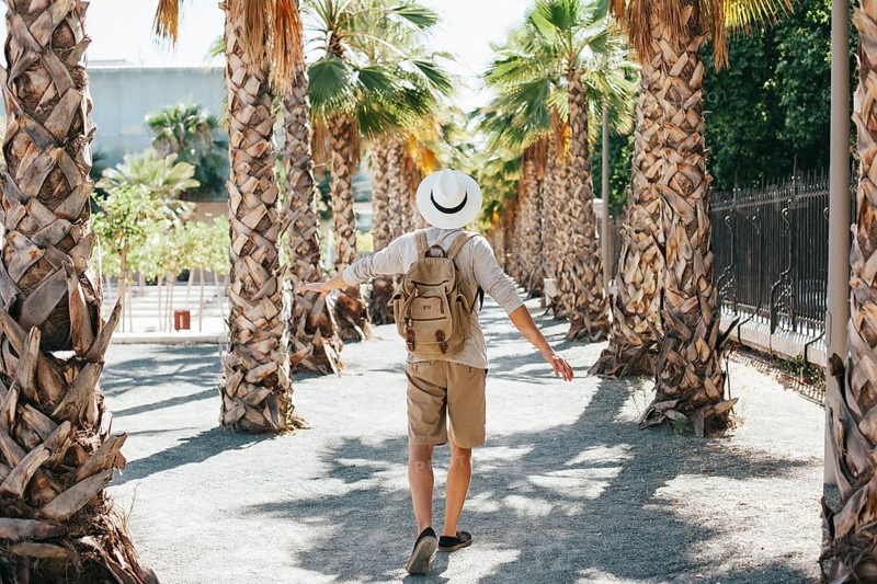 Traveler walking through palm trees