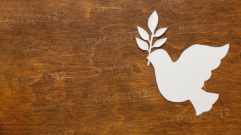 Top view paper dove wooden surface