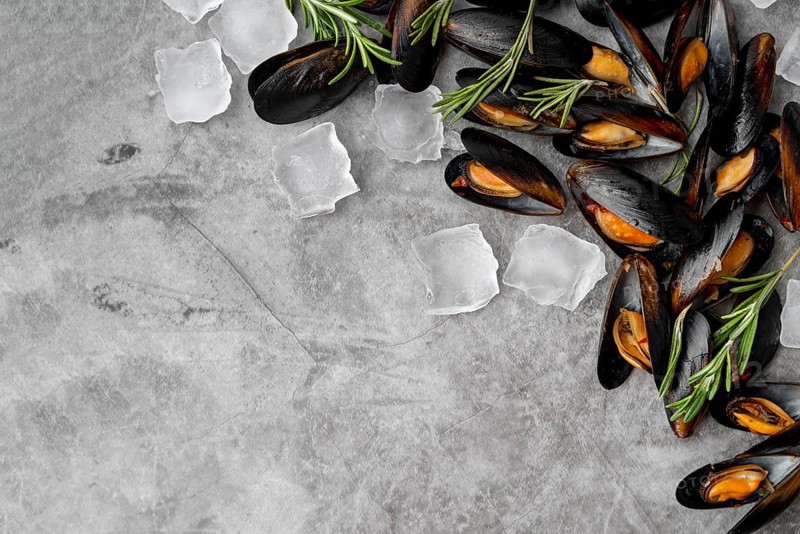 Top view cold mussels
