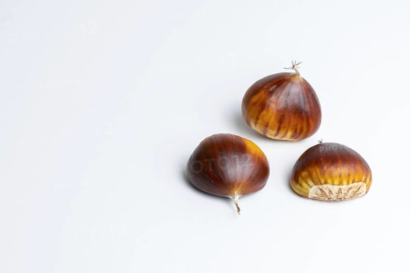 Seasonal chestnuts harvested from the field on a white background
