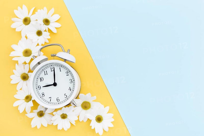 Flat lay frame with clock daisies