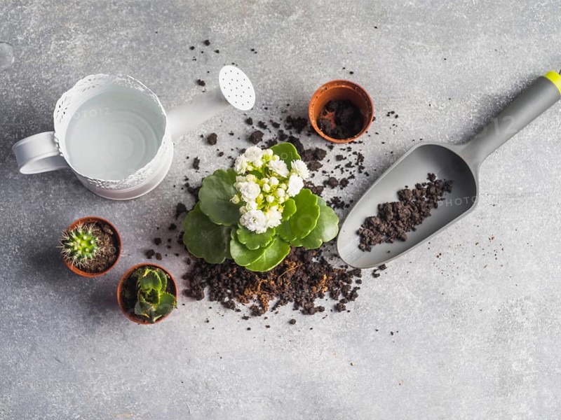 Watering can with seedling soil granite floor