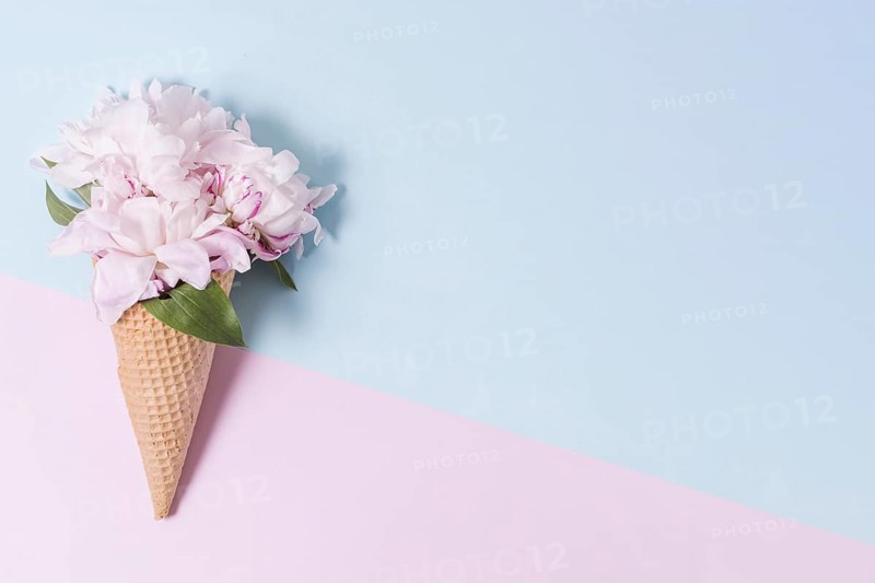 Abstract ice cream cone bouquet flowers