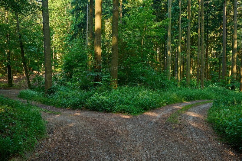 Fork in the road