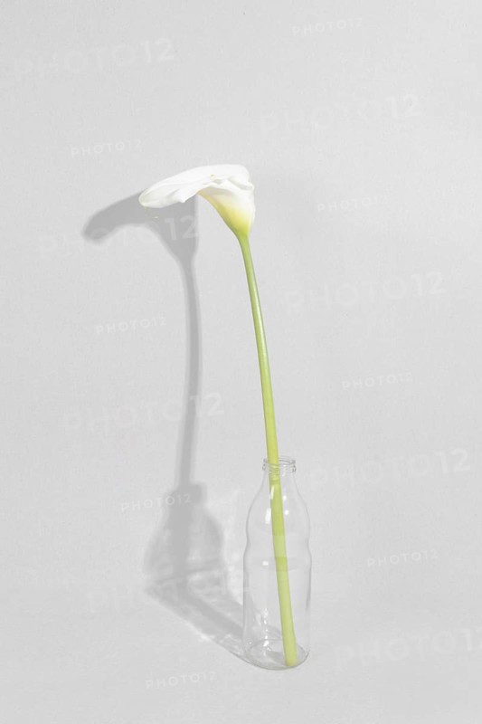 Blossom flower vase table 1