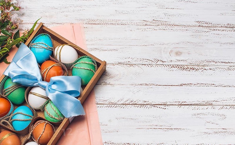 Collection bright eggs box pink craft paper near plants
