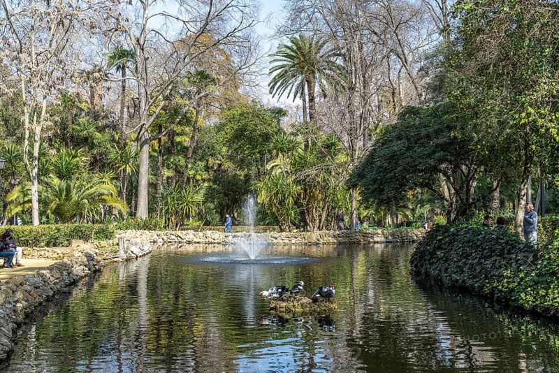 Pond in Maria Luisa Park