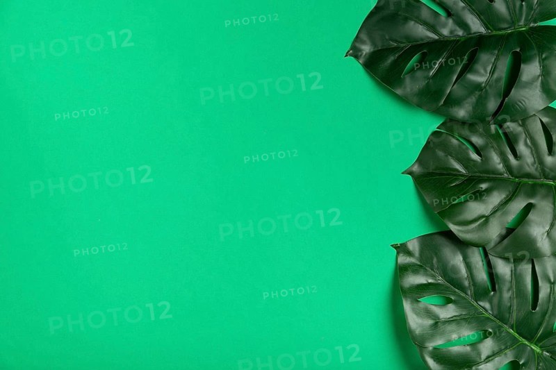 Top view realistic leaves paper
