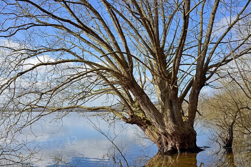 Moehnesee