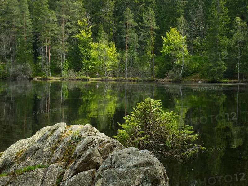 Mathisleweiher
