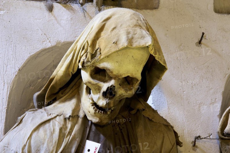 Skull