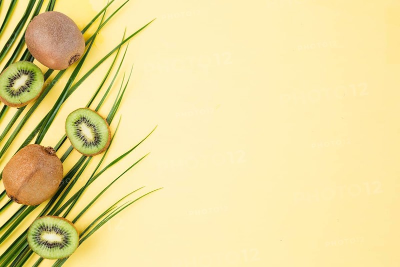 Fresh green plant leaves kiwi