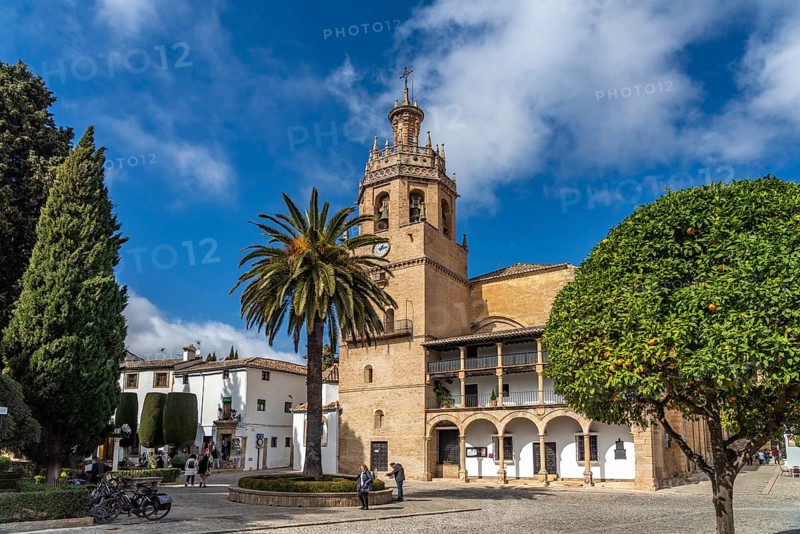 The Church of Santa Maria la Mayor