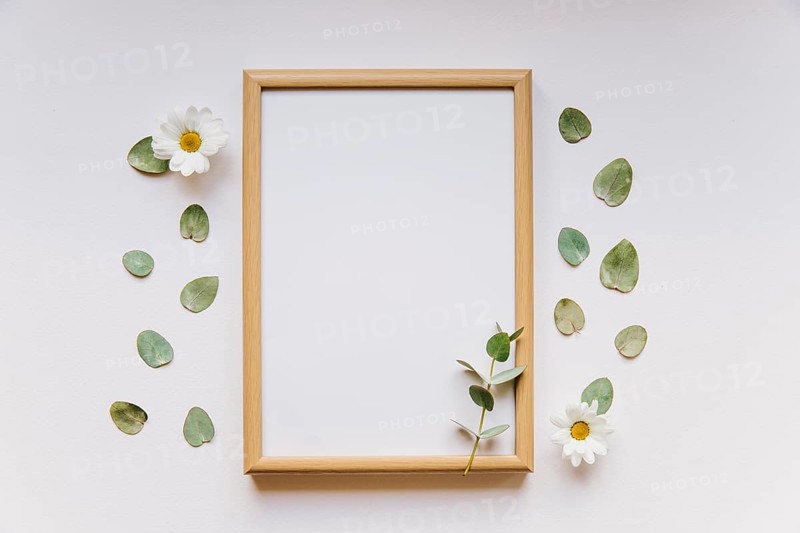 Frame leaves
