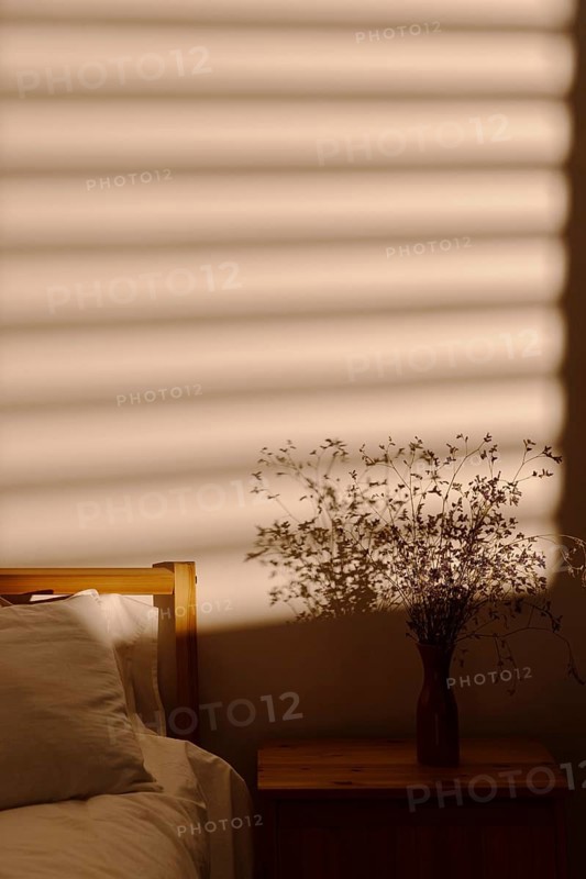 Window shadow bedroom wall