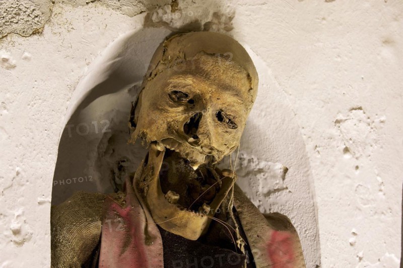 Skull
