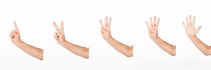 Crop hands counting five