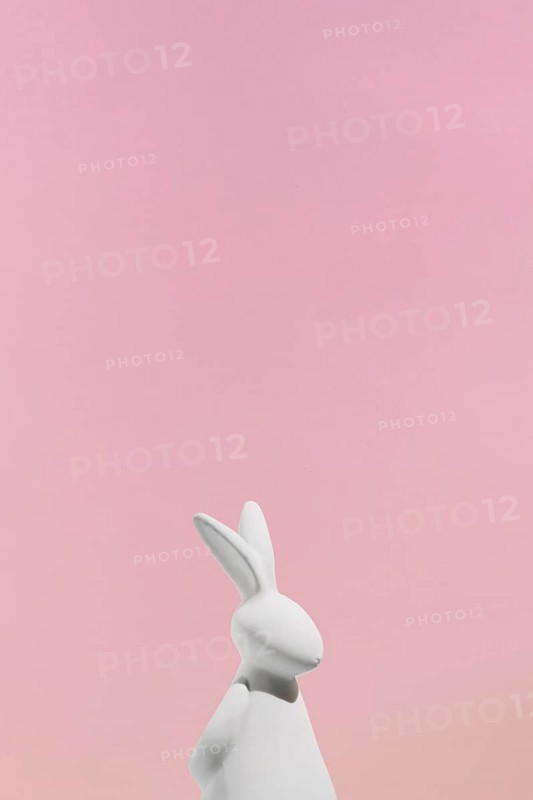 White rabbit figurine pink background