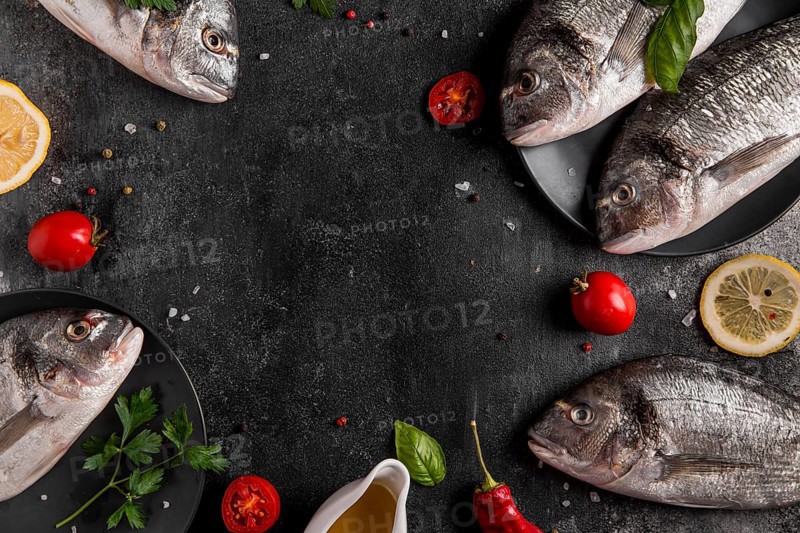 Frame top view fish copy space