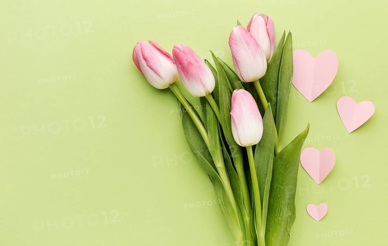 Mothers day tulips bouquet