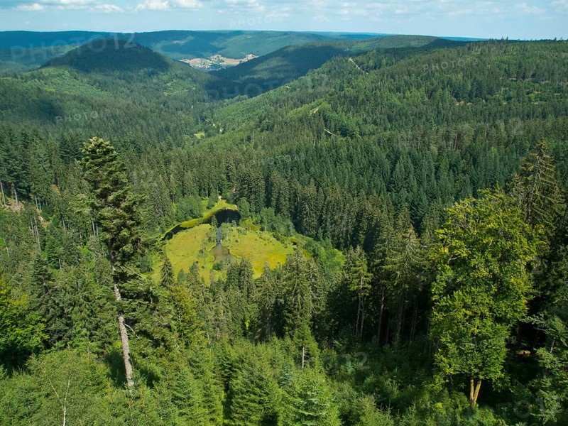 View of Ellbachsee