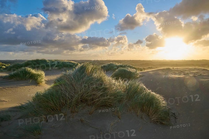 Sand dune