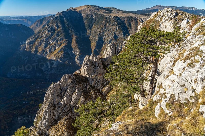 View from the lookout peak Curevac into the Tara Gorge