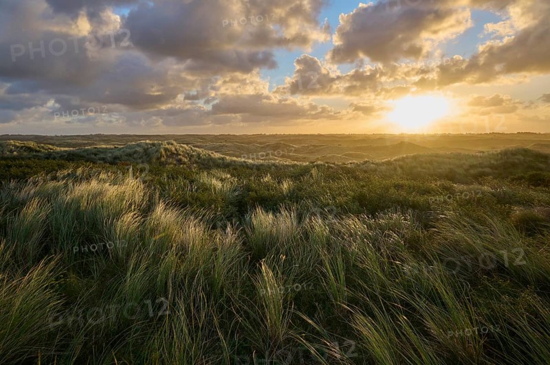 Sand dune