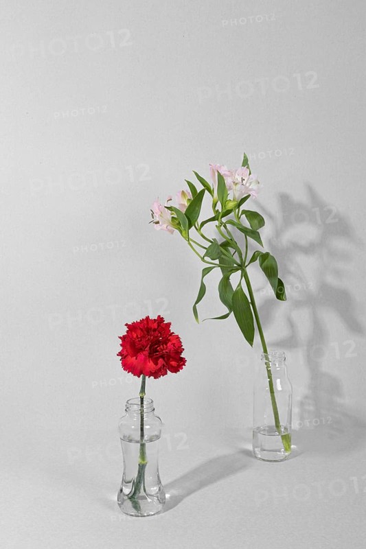 Blossom flowers vase table 8