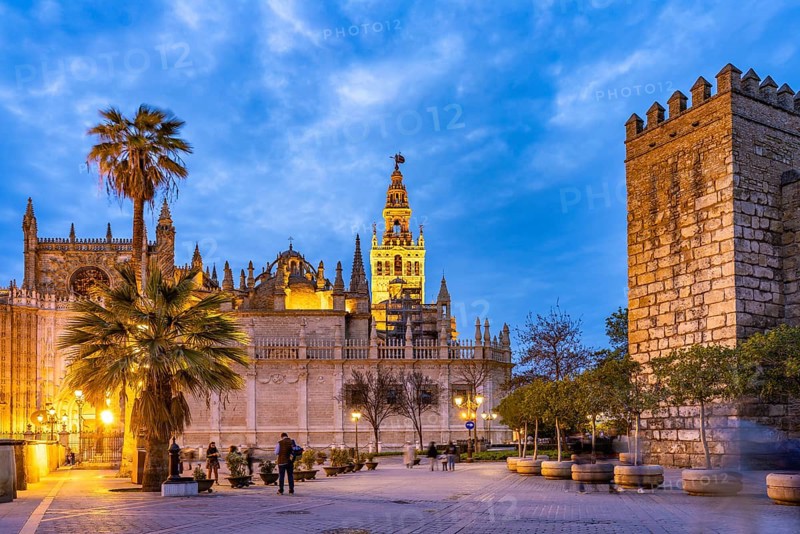 Santa Maria de la Sede Cathedral at dusk